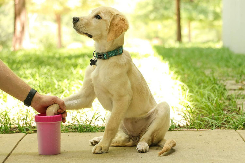 tanuja Soft Gentle Paw Cleaner Foot Washing Cup, Pet Portable Grooming Gloves for Cat, Dog, Dog & Cat(Pink, Medium)