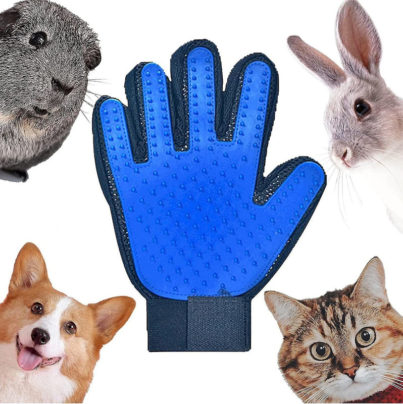 THE DDS STORE Pet Grooming Glove - Effective Cleaning Glove Grooming Gloves for Dog & Cat(Blue, Fits All)