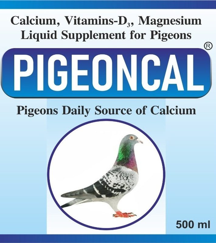 bhopal pigeons ENROXY POWDER FOR PIGEONS HEALTH AND VITALITY Pet Health Supplements(100 g)