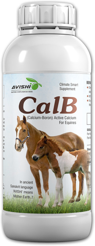 Avishi Horse CalB (Calcium-Boron) Pet Health Supplements(250 ml)