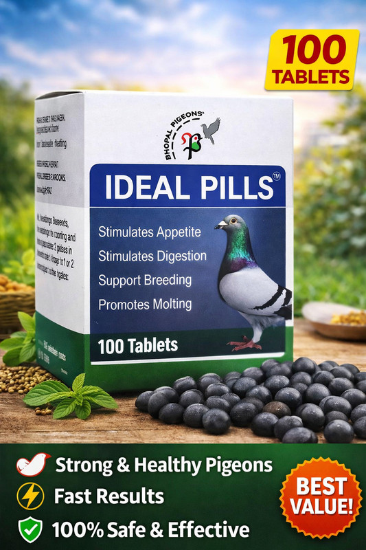 bhopal pigeons Ideal Pills for Pigeons Boost Appetite, Improve Digestion, 100 Tablets | Pet Health Supplements(100 Pieces)