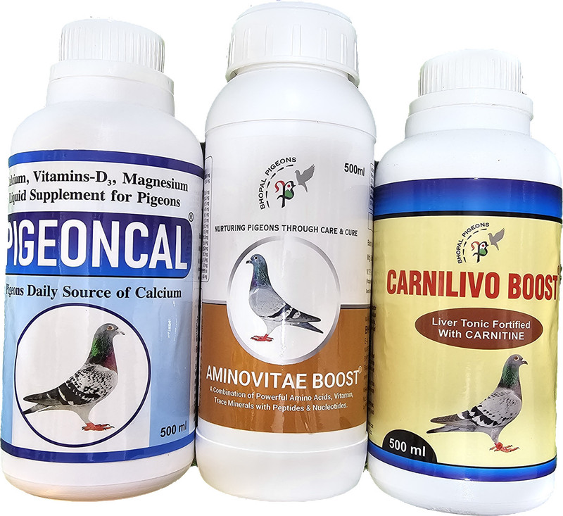 bhopal pigeons Small Breeding Kit Pet Health Supplements(3 kg)