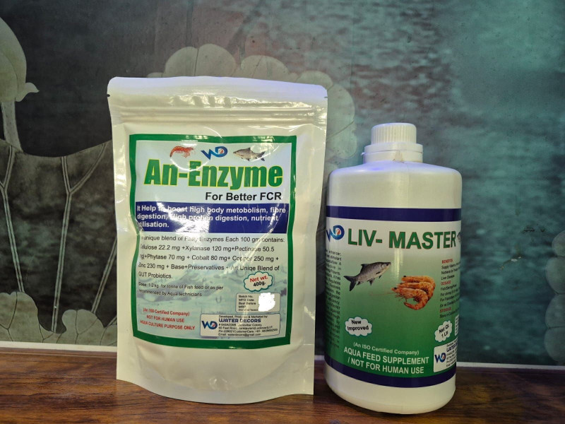 Pond Master LIV-MASTER (1LTR) Liver Tonic Protects & An-Enzyme (400G) High Metabolism Pet Health Supplements(1 L)