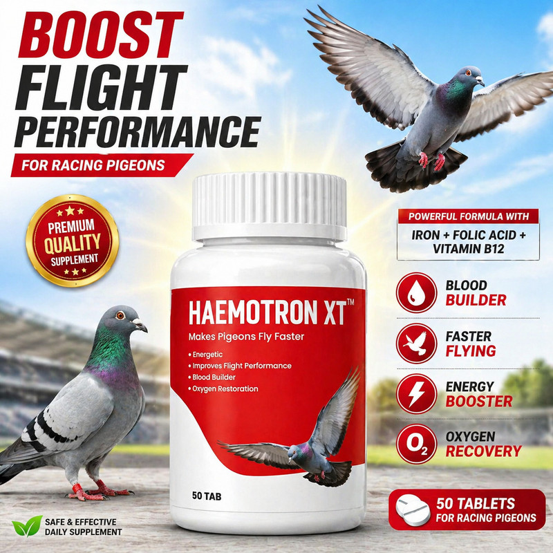 Haemotron for Racing Pigeons Improves Flight Performance, Blood Formation Oxygen Recovery Pet Health Supplements(50 Pieces)