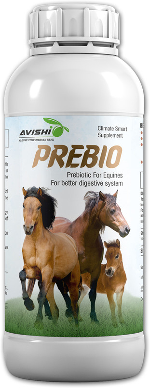 Avishi Horse Boom Pet Health Supplements(250 ml)