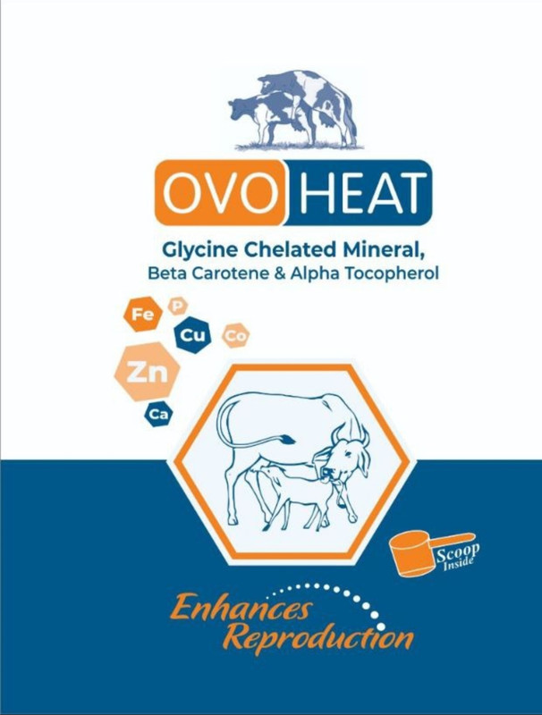 VetWings OVO HEAT Pet Health Supplements(700 g)