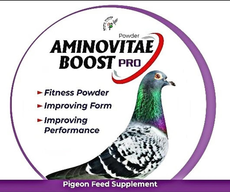 bhopal pigeons AMINOVITA PRO WITH BCCA AMINOACIDS, ENZYMES AND MULTIVITAMINS FOR PIGEONS HEALTH Pet Health Supplements(1 kg)