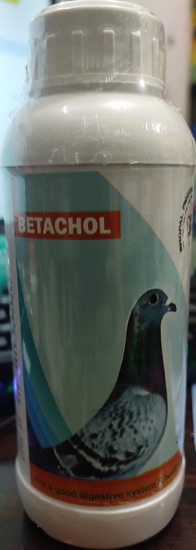 bhopal pigeons BETACHOL 500ML FOR PIGEONS HEALTH Pet Health Supplements(500 ml)