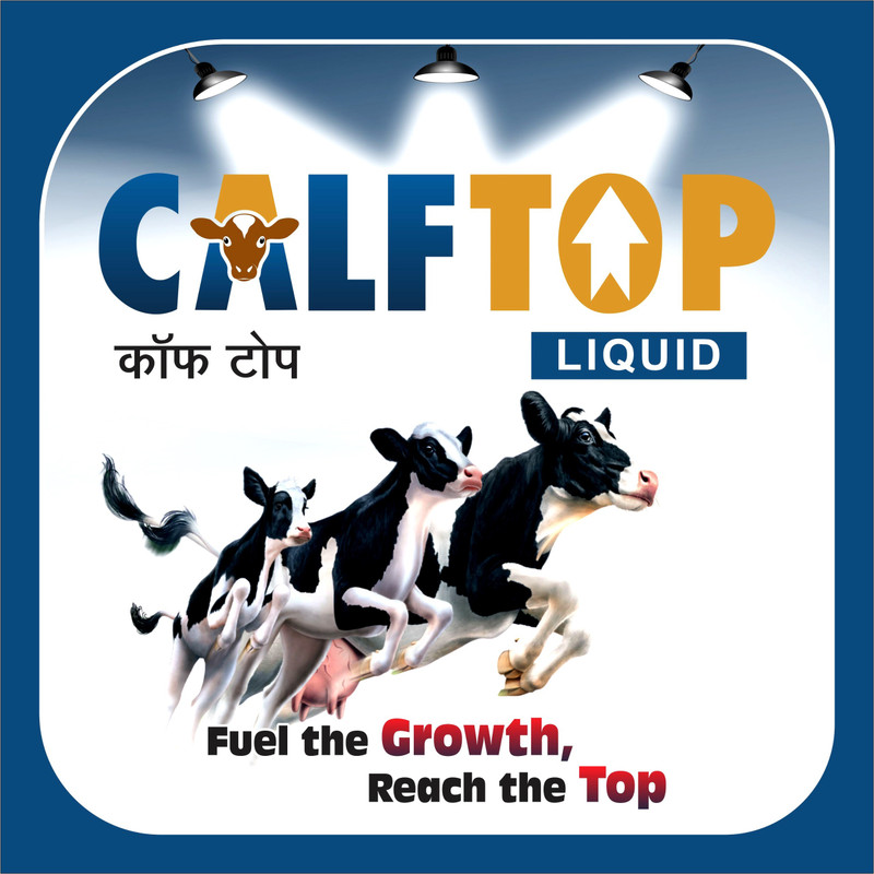 CalfTop Liquid Growth & Immunity Supplement for Calves Pet Health Supplements(500 ml)