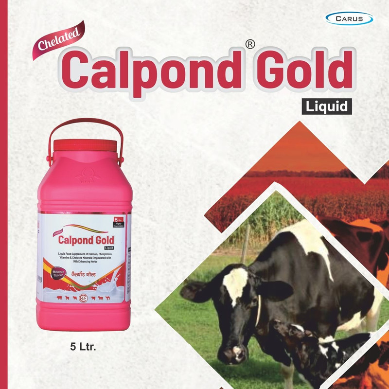 Calpond Gold Liquid – Chelated Mineral & Vitamin Supplement for Dairy Animals, 5 Ltr Pet Health Supplements(5 L)