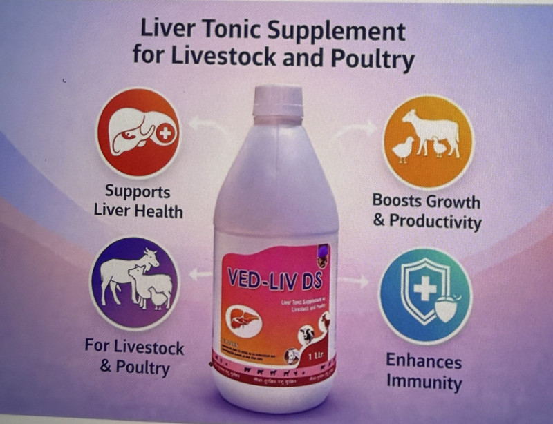 VEDVET Ved-Liv Ds 01 Ltr Pet Health Supplements(1 L)