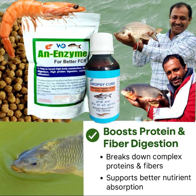 Pond Master an-Enzyme Fish Feed Supplement 400g | Probiotic Enzyme Blend for Fish & Shrimp Pet Health Supplements(400 g)