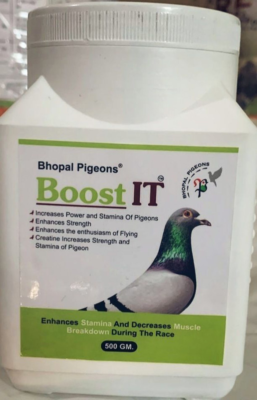 bhopal pigeons BOOST IT 500GM POWDER FOR PIGEONS HEALTH Pet Health Supplements(500 g)