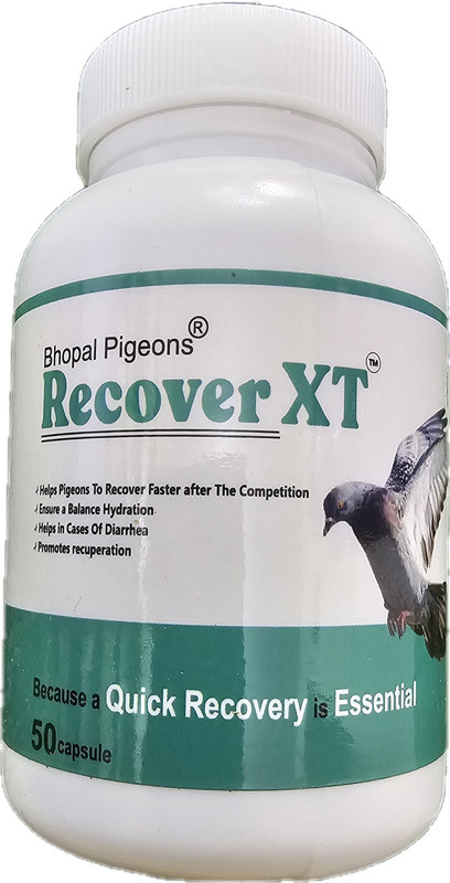 bhopal pigeons CCIE 50 TABLETS FOR PIGEONS Pet Health Supplements(1 Pieces)