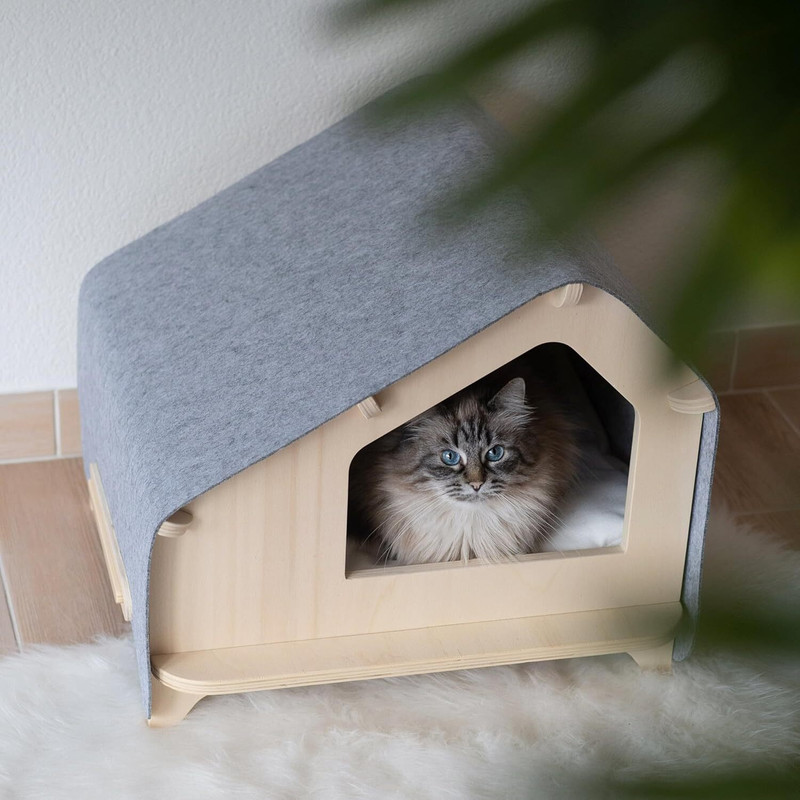 GOLDEN Rrrise PET HOUSE NEW-01 Cat House