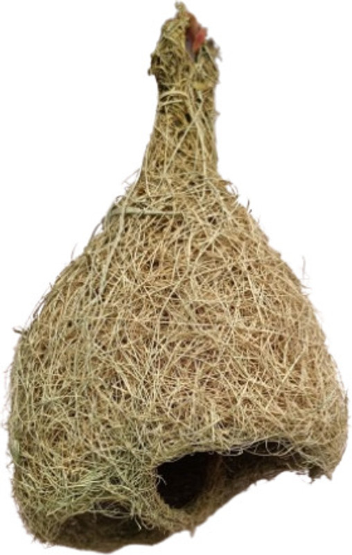 RONALROCIFER Organic Bird Nest made by ENGINEER BIRD_02 (Hanging/Wall Mount/Free Standing) Bird House