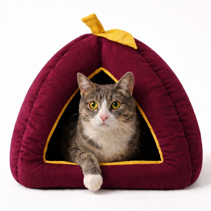 URBANNEST Pumpkin Pet House for Cats & Puppies | Coral Red | Cat, Dog House
