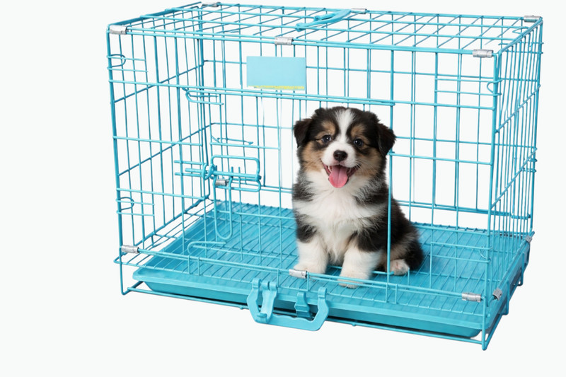 Sip Compact Travel Carrier for Small Pets Dog, Cat, Rabbit, Miniature Pig, Monkey, Mouse Cage