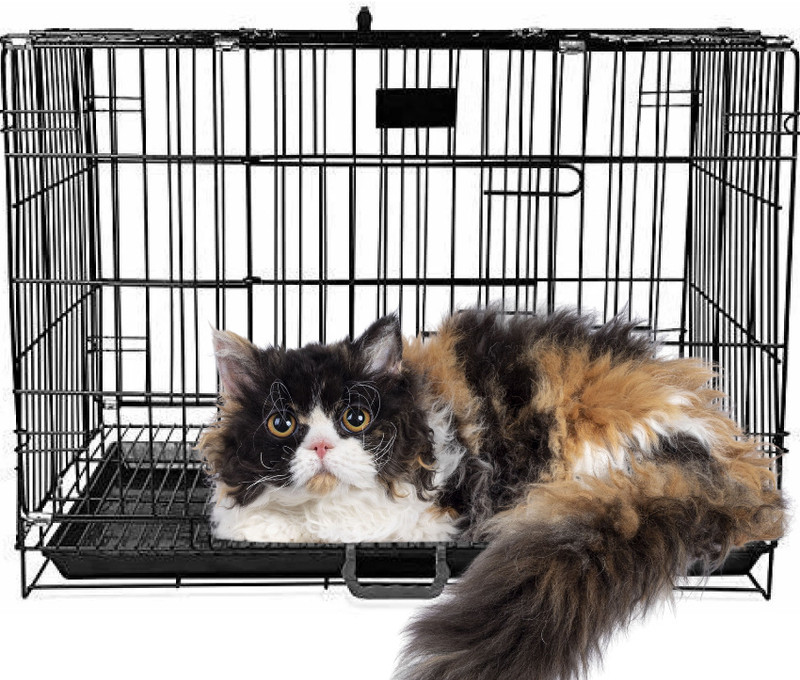 chullbull pet products Single Door Powder Coated with Removable Tray for dog/cat Cat, Dog, Rabbit, Hamster Cage
