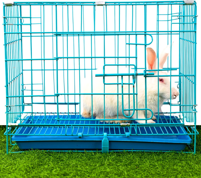 Prateek Kitchenware Small Blue Cage 18 Inch Cat, Dog, Rabbit, Hamster Cage