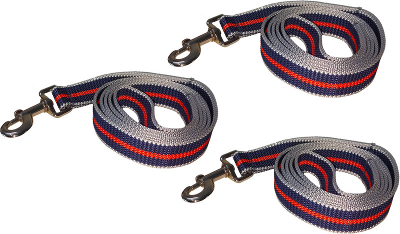 PANCHTATAVA Reversible Strong Nylon Heavy Duty Strong Baby Dog Leash with Swivel Snap Ring 165 cm Dog & Cat Strap Leash(Multicolor)