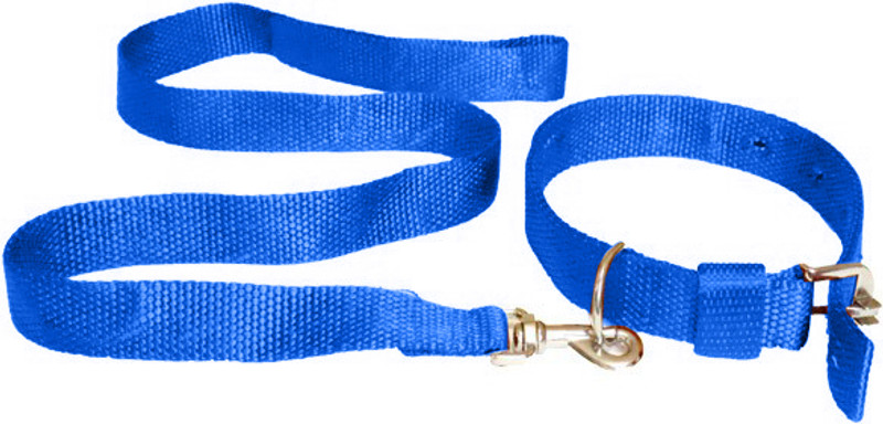 chullbull pet products Dog nylon leash and collar size - medium golden 132.08 cm Dog Strap Leash(Blue)