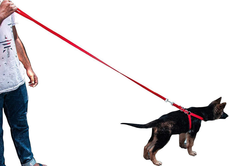 Tame Love Adjustable Breathable Dog Chest Belt Harness and Padded Leash Belt for all Breed 162 cm Dog Cord Leash(Red)
