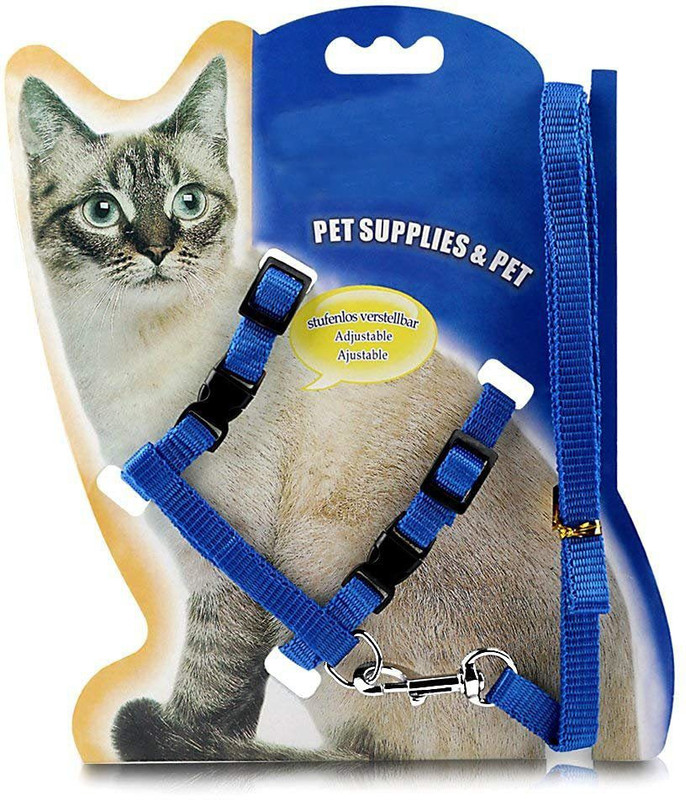 PetCeptual Cat Adjustable Nylon Cat Harness Strap Collar with Leash Set Small Pet 22 cm Dog & Cat Strap Leash(Multicolor)