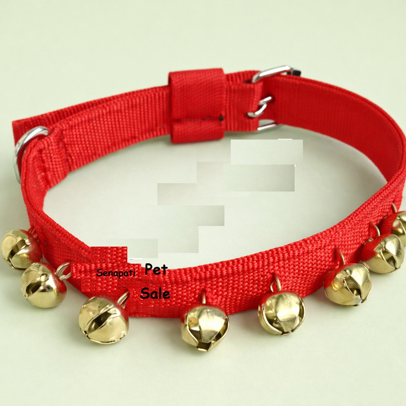 SENAPATI Senapati Feb Red Coller Ghugroo D 50 cm Dog Strap Leash(Red)