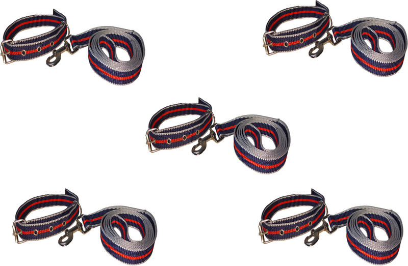 PANCHTATAVA 165 cm Dog & Cat Martingale Leash(Multicolor)