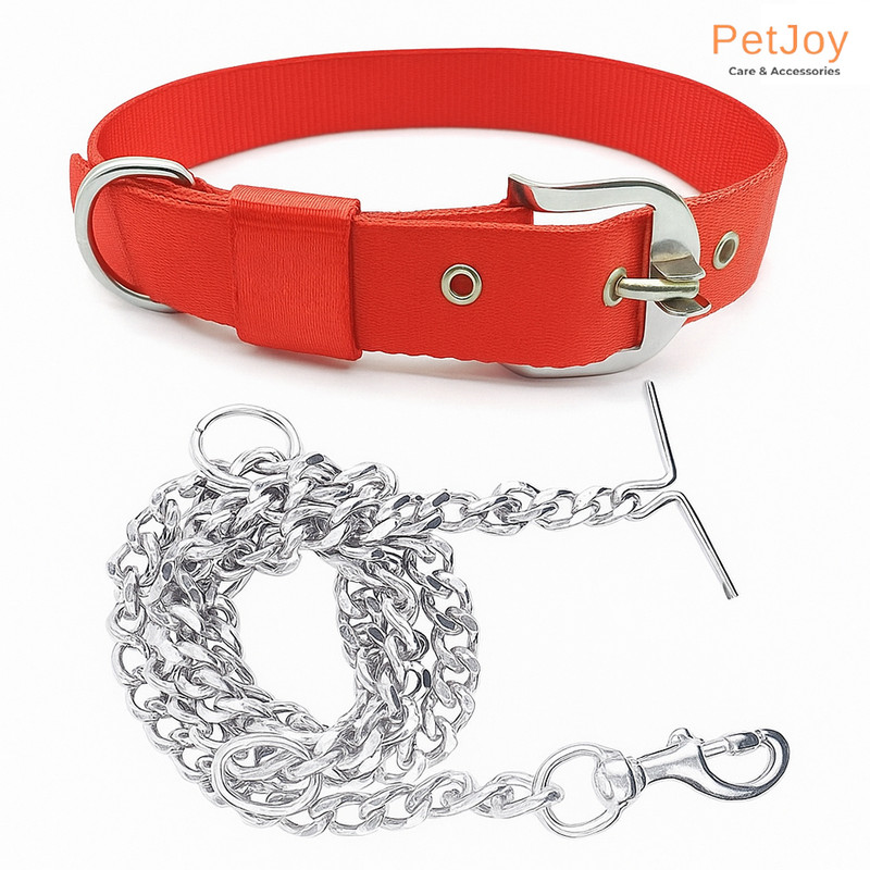 PetJoy Combo Dog Belt 160 cm Dog Chain Leash(Red)