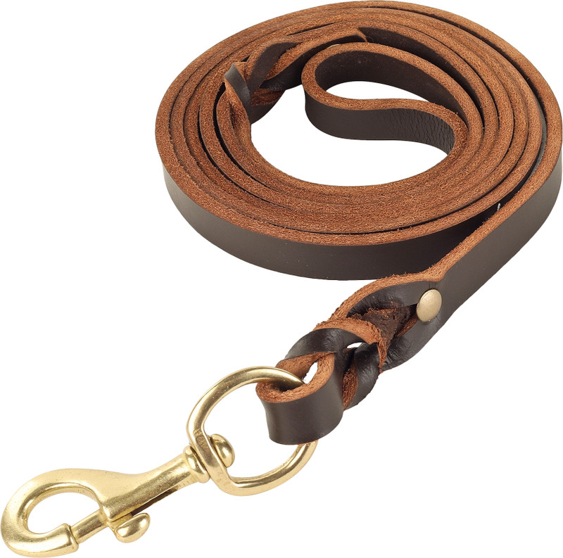 anarjy 6-Feet Long Leather Leash: Effortless Walks with Your Pup 185 cm Dog Strap Leash(Brown)