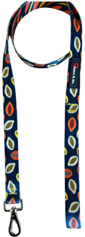 BRAVO AND CO Dog Leash - Stylish and Durable Printed Leash with Comfortable Grip | 152.4 cm Dog Chain Leash(Multicolor)