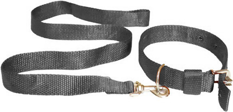 chullbull pet products 132.08 cm Dog Strap Leash(Black)