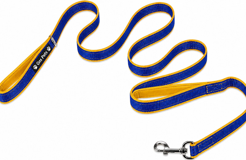 GNS PETS 6ft Double Webbing Dog Leash Strong Metal Hook,Durable & Comfortable Lead 80 cm Dog Strap Leash(Yellow)