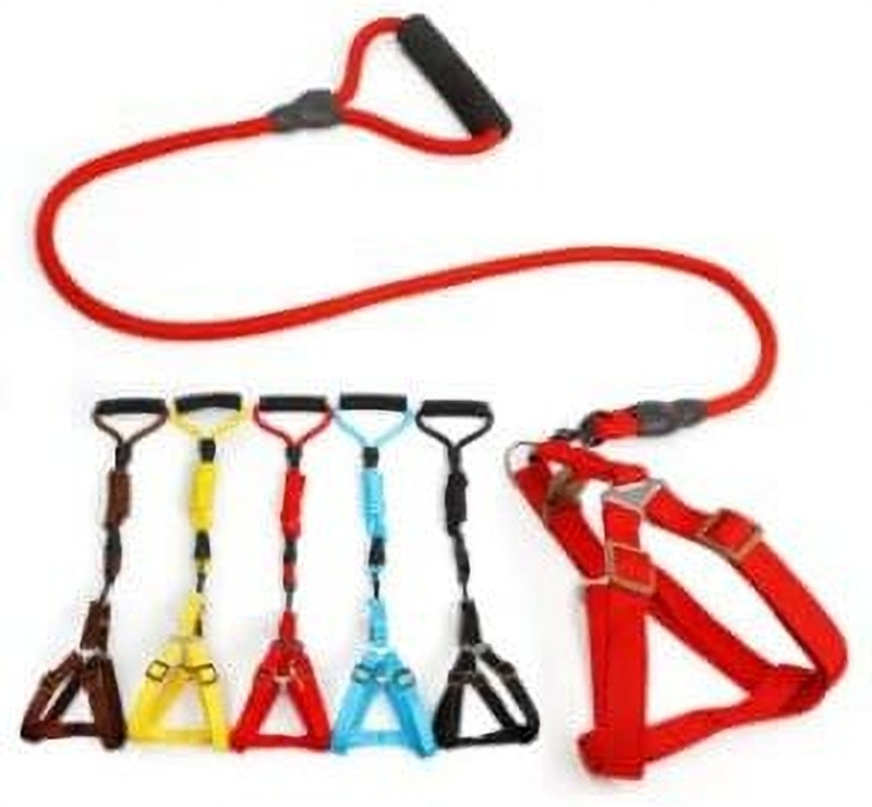 SARKAR 10 cm Dog & Cat Strap Leash(Multicolor)