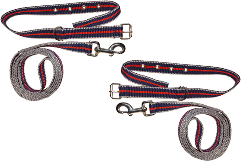 PANCHTATAVA Reversible Strong Nylon Reflective Dog Leash and Collar Set with Strong SnapHook 165 cm Dog & Cat Martingale Leash(Blue, Red)