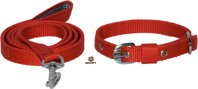 droopy Premium Dog collar and leash for Extra Small 150 cm Dog & Cat Strap Leash(Blue)