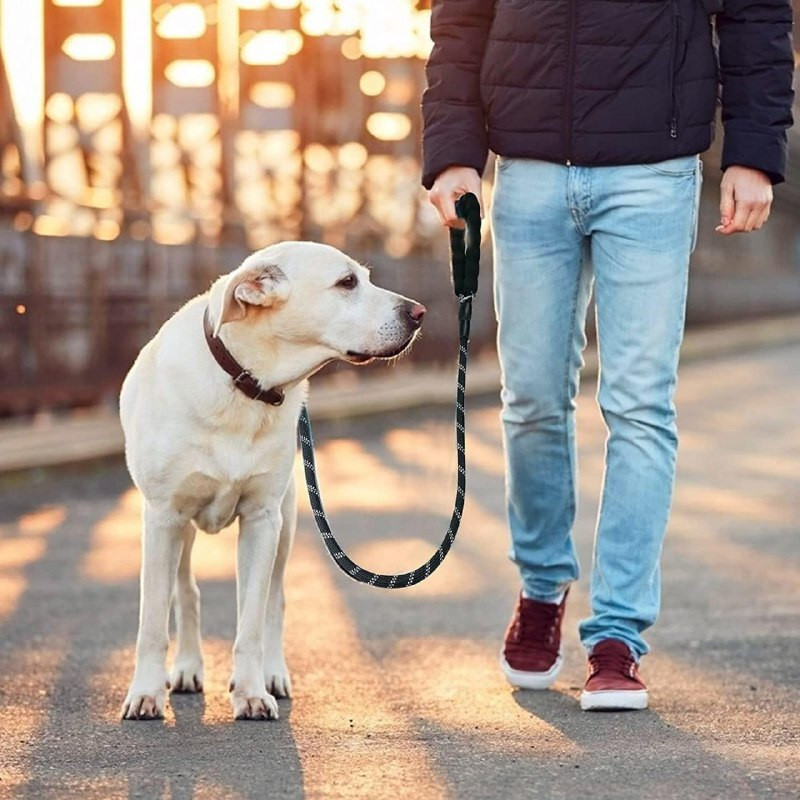 COFP 153 cm Dog & Cat Cord Leash(Black)