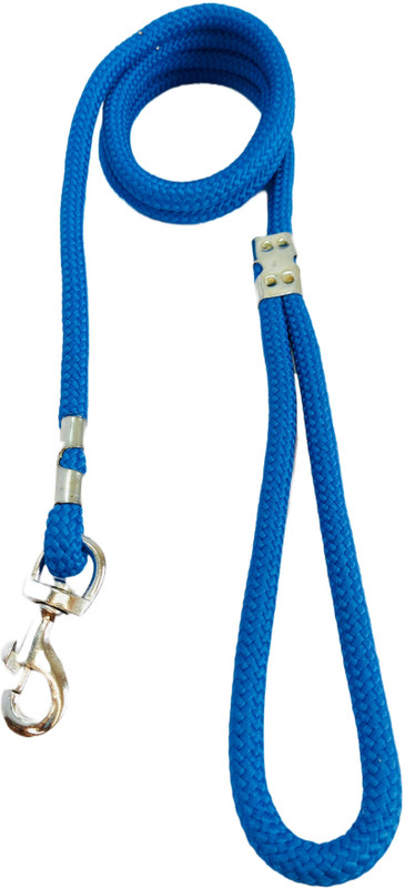 PetJoy Adjustable Stainless Steel Hook Leash for Dogs 15mm Nylon Cord Leash for Walking 170 cm Dog Cord Leash(Blue)