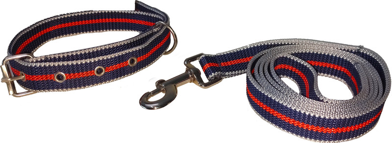 PANCHTATAVA Reversible Strong Nylon Reflective Dog Leash and Collar Set with Strong SnapHook 165 cm Dog & Cat Martingale Leash(Multicolor)