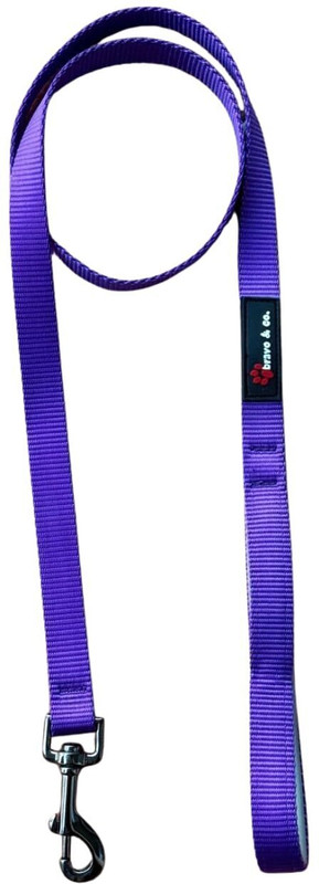 BRAVO AND CO 5 Feet Padded Dog Walking Leash with Handle, Secure Snap Hook & Easy to Clean | 152.4 cm Dog Chain Leash(Purple)