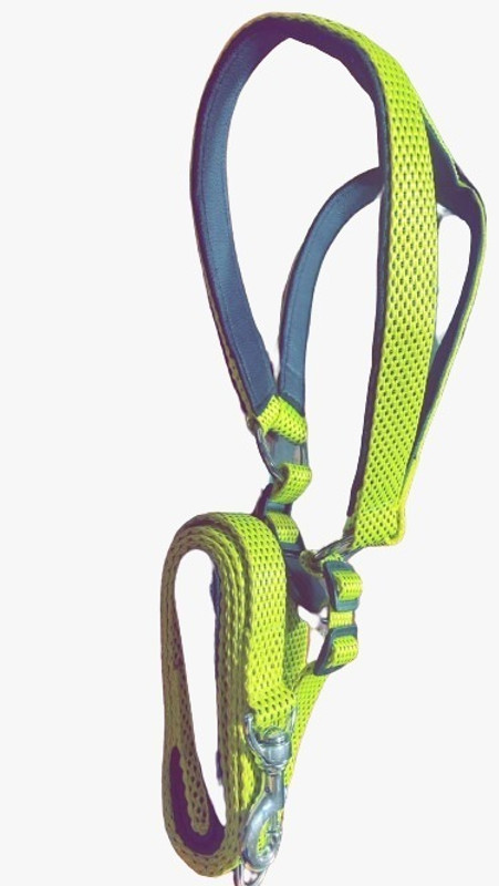 SUPER CHAIN 164 cm Dog Cord Leash(Green)