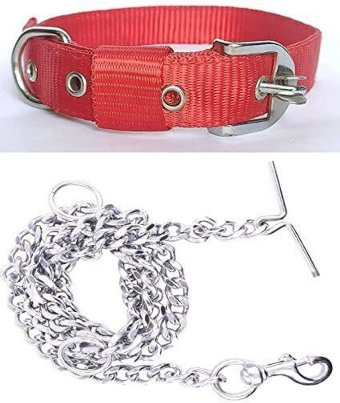 Sip Good Quality Dog Belt Combo of Nylon Multi Collar with Dog Chain 1Inch Lengthy 160 cm Dog Chain Leash(Red, White)