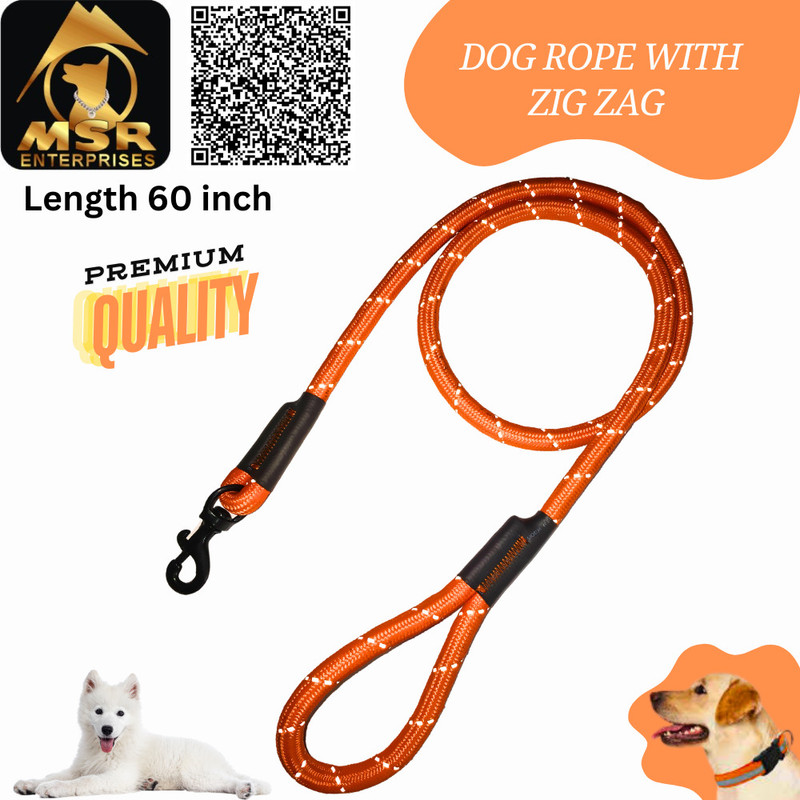 MSR 152.4 cm Dog Cord Leash(Orange)