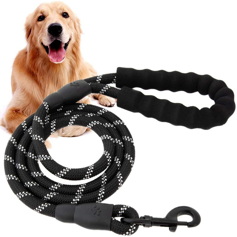 SeaRegal 150 cm Dog Strap Leash(Multicolor)