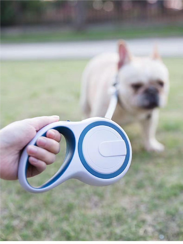 ORWEST 300 cm Dog Strap Leash(Grey)