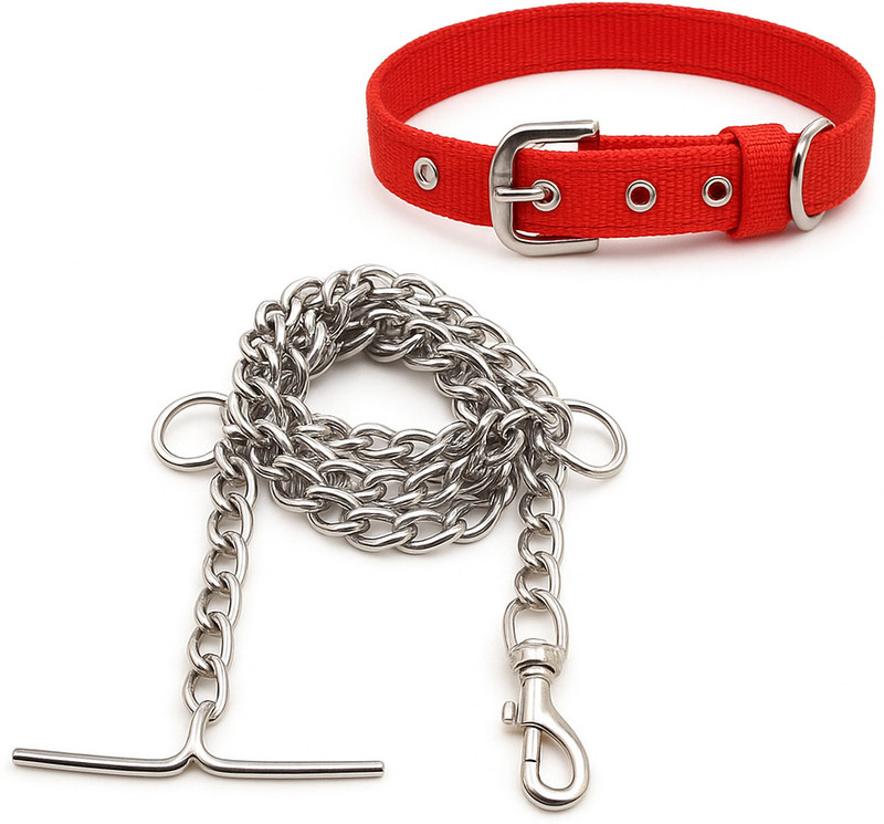 PETRA Dog chain combo for small puppy collar set 152 cm Dog Chain Leash(Silver, Red)