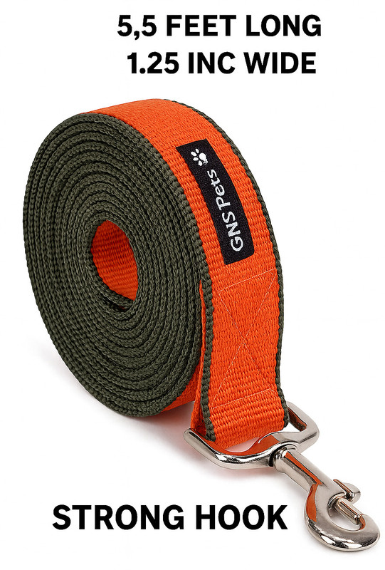GNS PETS 6 Feet Dog Leash | Double-Stitched Strong Nylon 1.25"" Strap strog hook 175 cm Dog Strap Leash(Orange, Green)