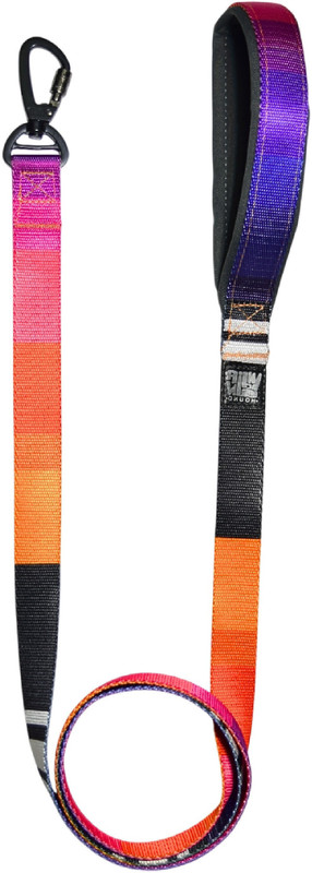 GLUCKLICH x Indian Hound Nylon Printed Dog Leash with Strong Hook & Soft Padded Handle 152.4 cm Dog Strap Leash(Multicolor)
